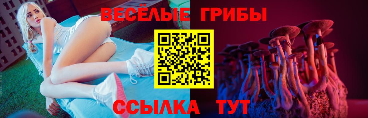 Псилоцибиновые грибы мухоморы Санкт-Петербург